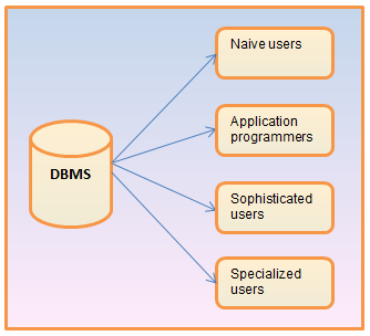 explain database users in dbms